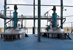 mt-0234-home-gallery-img2